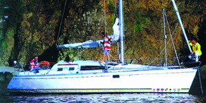 Image du produit Feeling 356