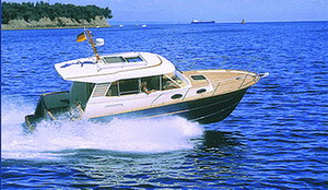 Product Image Elite 31