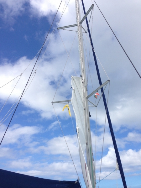 Photo:  Orana 44