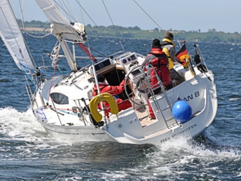 Product Image Delphia 33