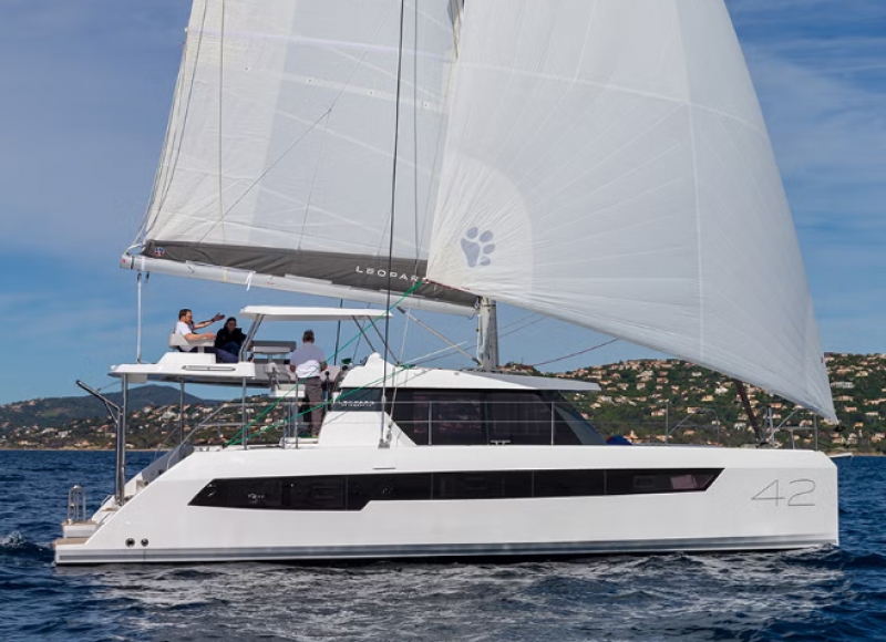 Product Image Leopard 42