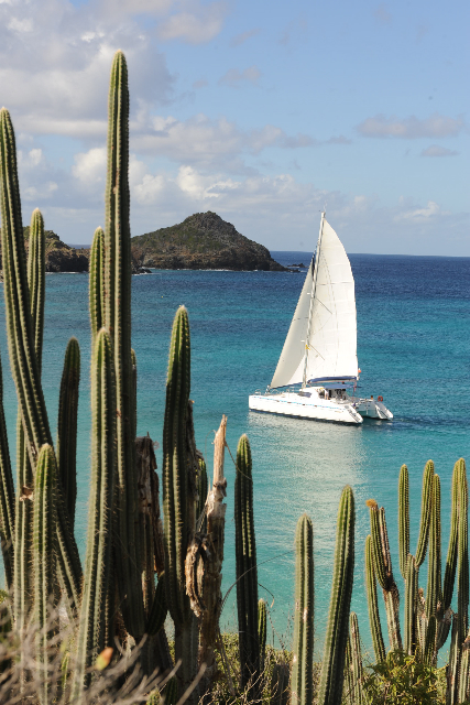 Catamaran succulents sea